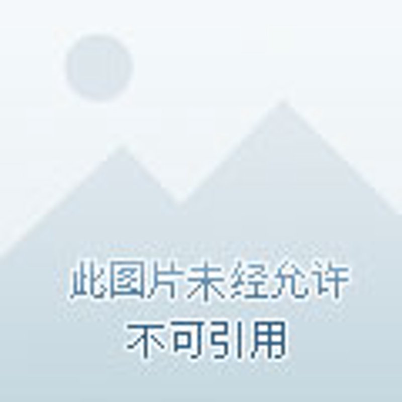 义乌律师