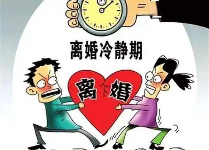 律师行业动态：袁向荣的最新观点与见解